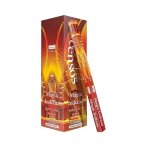 Incenso Darshan - Magia Indiana
