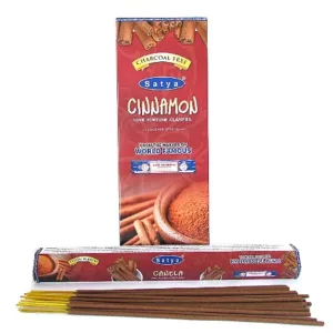 Incenso Satya Hexagonal - Canela